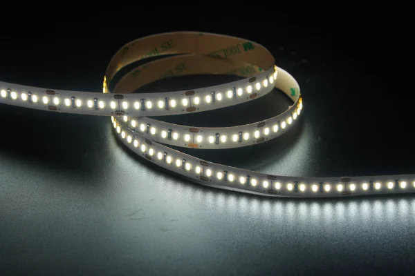 3014 204leds/m 24V 10MM